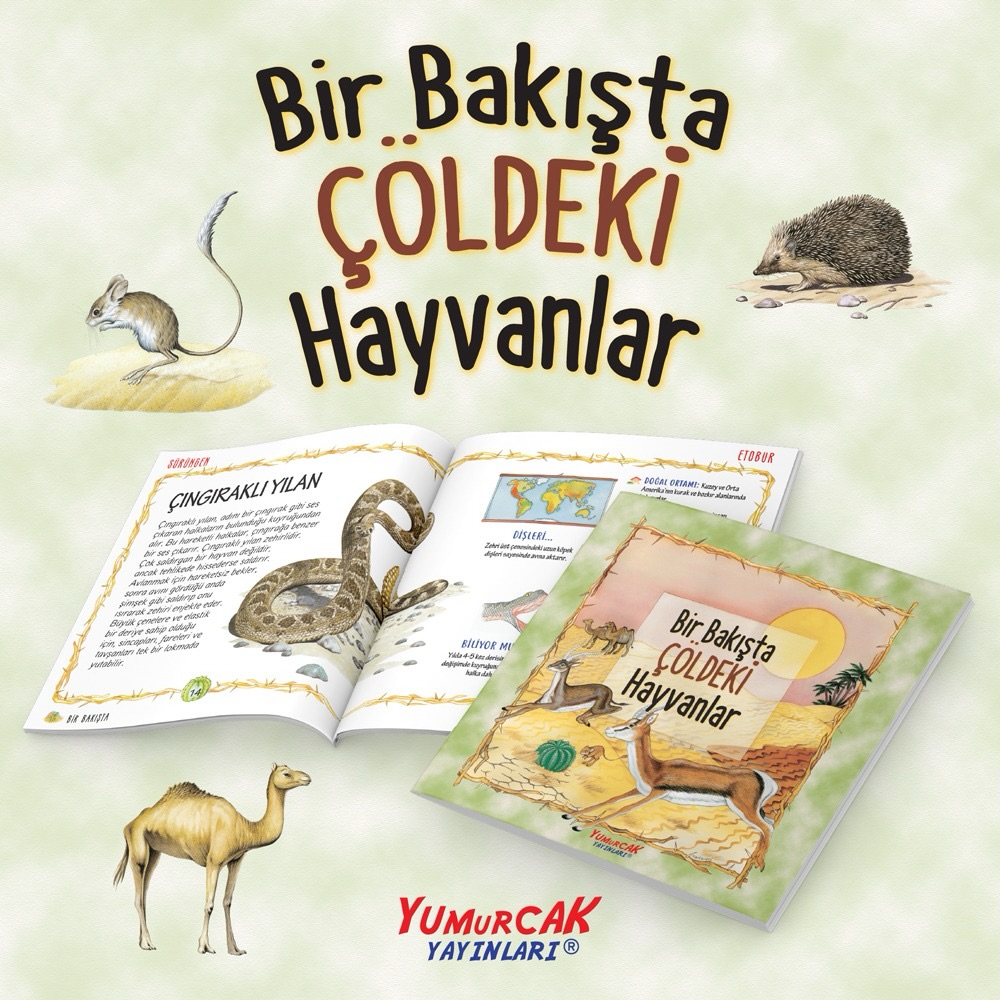 🌍 Bir Bakışta Hayvanlar Serisi 🐪🐬🐧🦊
Hayvanlar dünyasını keşfetmeye hazır mısınız? 🐾
Bir Bakışta Hayvanlar Serisi, çocukları farklı yaşam alanlarına götürüyor:
🏜️ Çöldeki Hayvanlar
🌊 Denizdeki Hayvanlar
❄️ Kutuplardaki Hayvanlar
🌲 Ormandaki Hayvanlar
Çocuklar birbirinden ilginç hayvanları tanırken; onların yaşadığı ortamları, özelliklerini ve doğadaki yaşamlarını keşfediyor. 🔎📚
Renkli çizimler ve eğlenceli anlatımıyla öğrenmeyi keyifli bir keşfe dönüştüren bu seri, küçük hayvanseverlerin kitaplığında yerini almaya hazır! ❤️
📚 Yumurcak Yayınları
#YumurcakYayınları #BirBakıştaHayvanlar #ÇocukKitapları #HayvanlarıKeşfet #ÇocuklardaOkuma